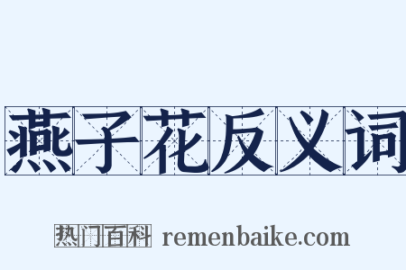 燕子花反义词是什么意思的图片